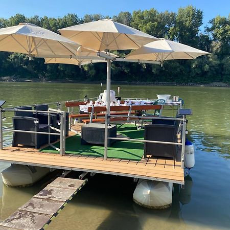 Voeroes Alom Panzio Bed and Breakfast Tiszakécske Εξωτερικό φωτογραφία