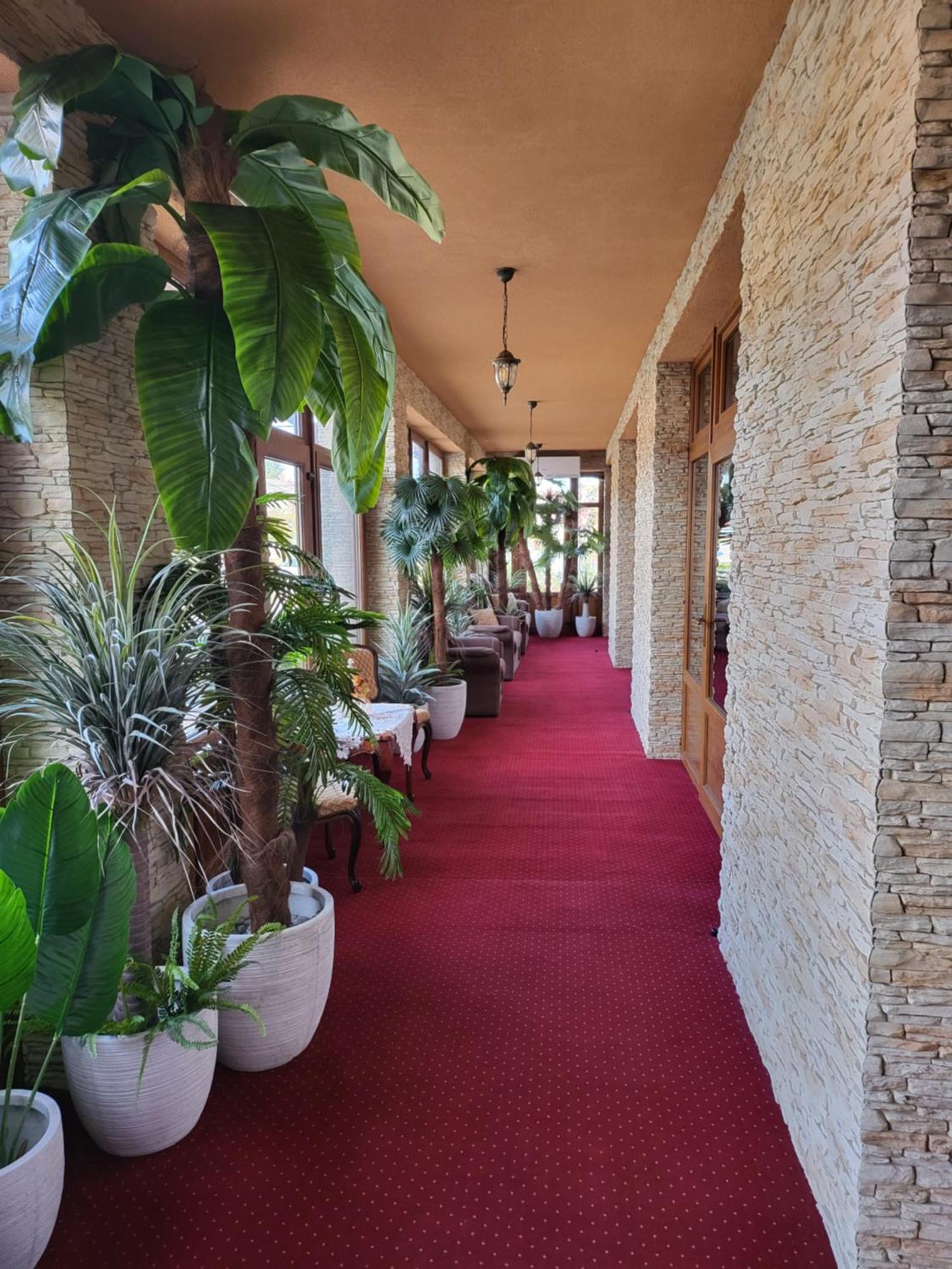 Voeroes Alom Panzio Bed and Breakfast Tiszakécske Εξωτερικό φωτογραφία